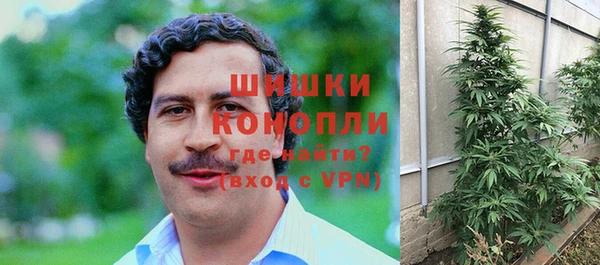 прущие крисы Аркадак