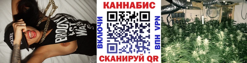 Каннабис OG Kush Феодосия